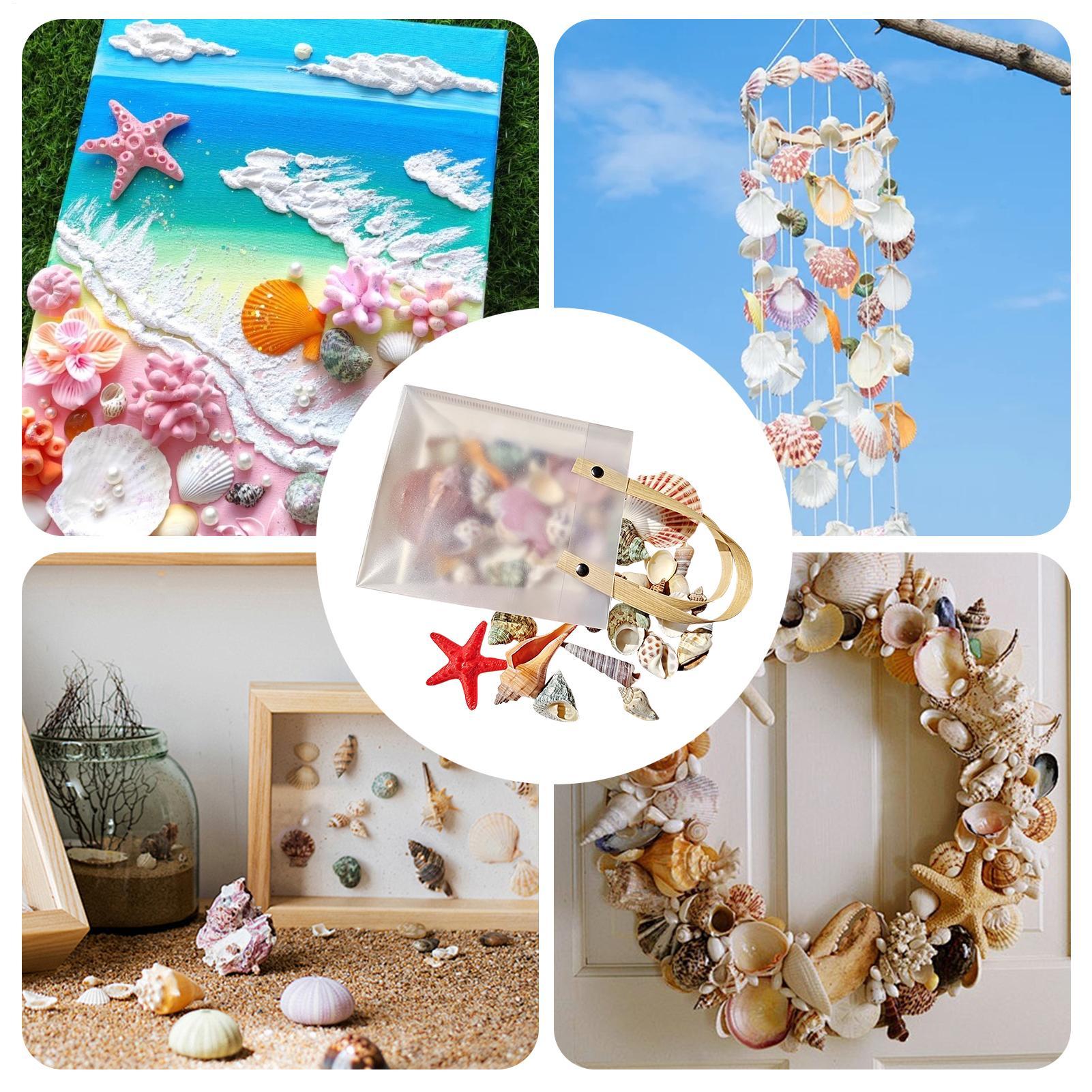 Tiny Seashells For Crafts Natu - огляд і ціна Candle Making For Kids